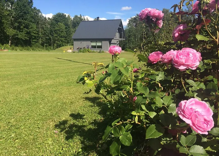 Feriehus Piesta Riverside In Soomaa Region *